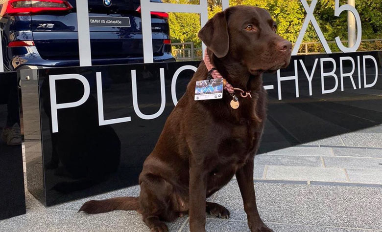 News Kofferraumcheck